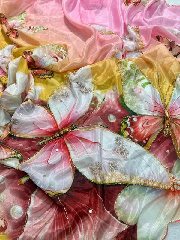 Multicolor_Katdana_and_Beads_Hand-Embroidered_Saree