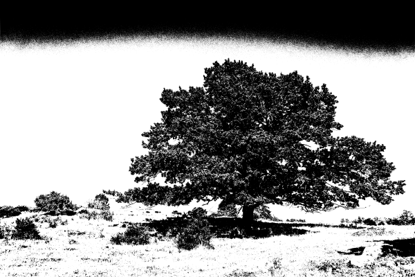image_update_last