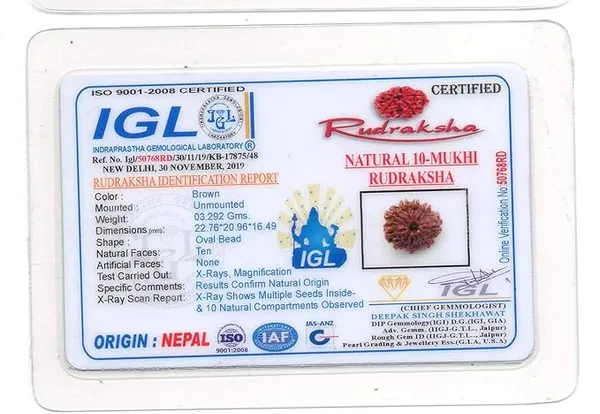 Brown_10_Mukhi_Nepali_Rudraksh_Pendant_For_Men_&_Women
