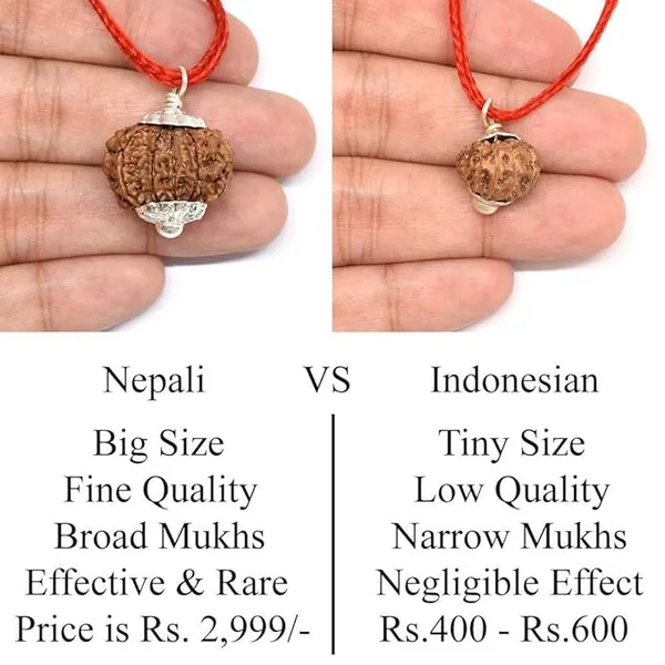 Brown_10_Mukhi_Nepali_Rudraksh_Pendant_For_Men_&_Women