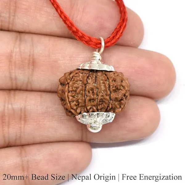 Brown_10_Mukhi_Nepali_Rudraksh_Pendant_For_Men_&_Women