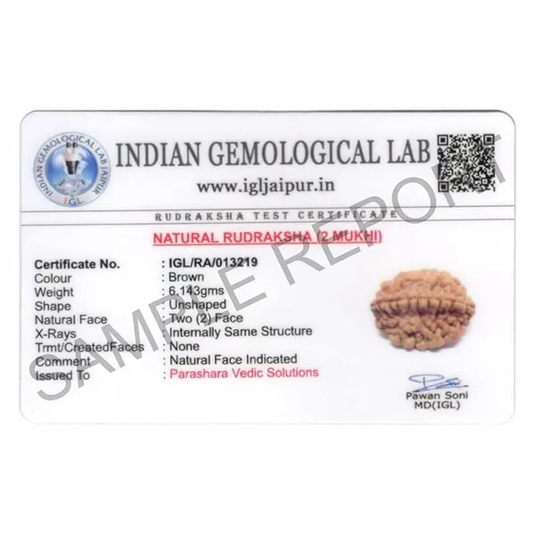 Brown_2_Mukhi_Nepali_Rudraksh_For_Men_&_Women