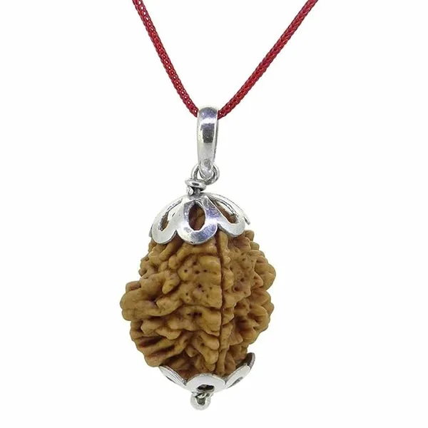 Brown_2_Mukhi_Nepali_Rudraksh_Pendant_For_Men_&_Women