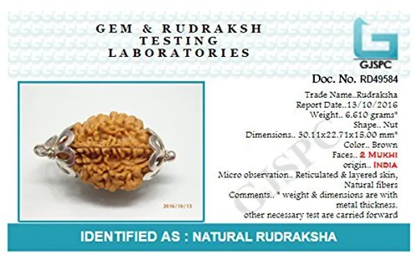 Brown_2_Mukhi_Nepali_Rudraksh_Pendant_For_Men_&_Women