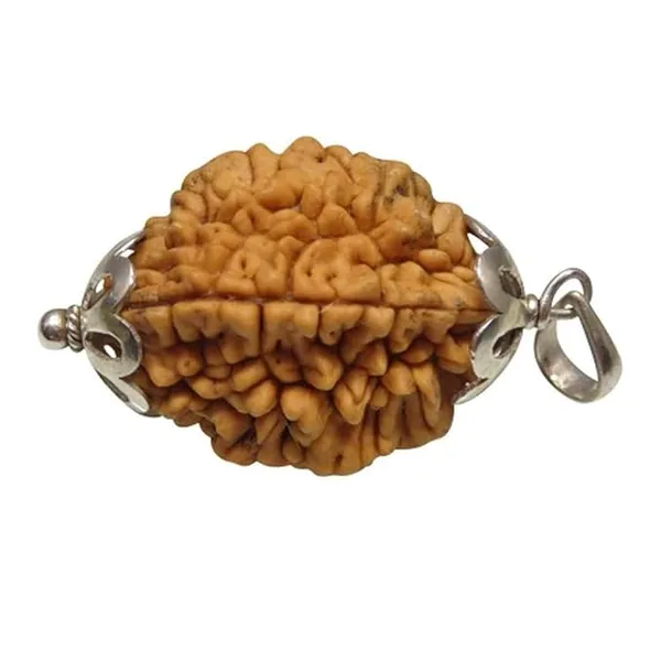 Brown_2_Mukhi_Nepali_Rudraksh_Pendant_For_Men_&_Women