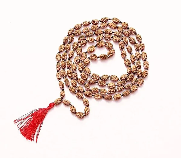 Brown_2_Mukhi_Rudraksh_Beads_Mala_(108_Beads)