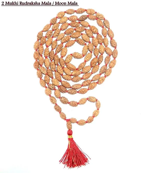 Brown_2_Mukhi_Rudraksh_Beads_Mala_(108_Beads)