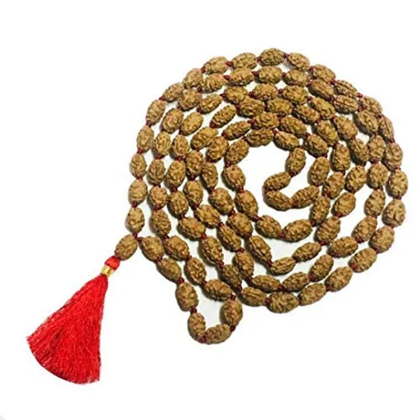 Brown_2_Mukhi_Rudraksh_Beads_Mala_(108_Beads)