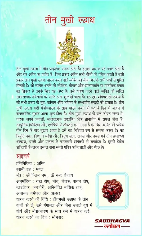 Brown_3_Mukhi_Nepali_Rudraksh_For_Men_&_Women