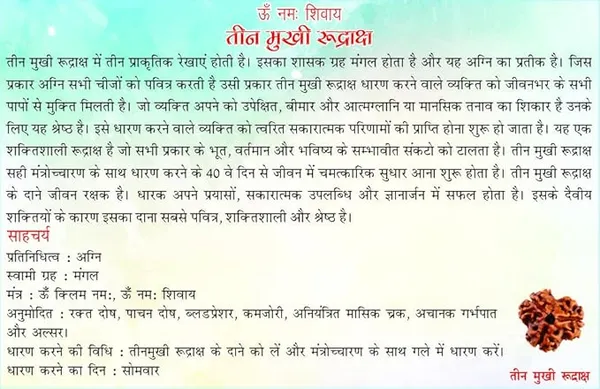 Brown_3_Mukhi_Nepali_Rudraksh_For_Men_&_Women