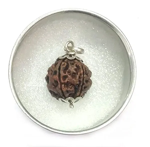 Brown_3_Mukhi_Nepali_Rudraksh_Pendant_For_Men_&_Women