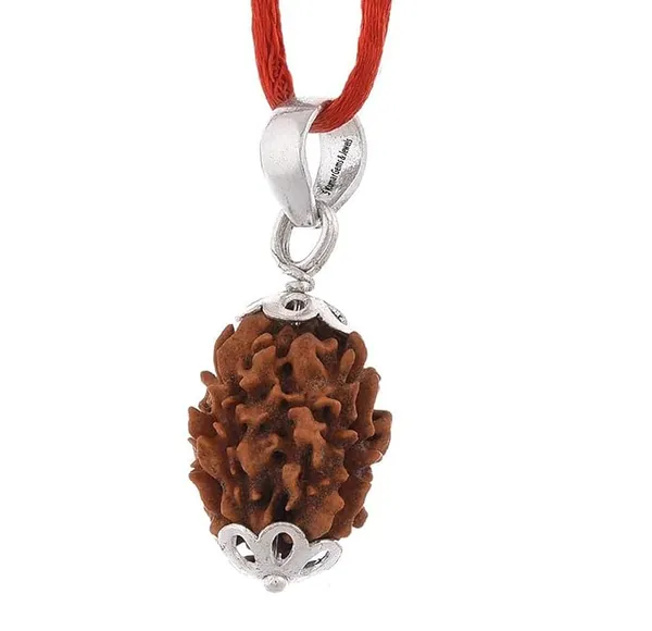 Brown_3_Mukhi_Nepali_Rudraksh_Pendant_For_Men_&_Women