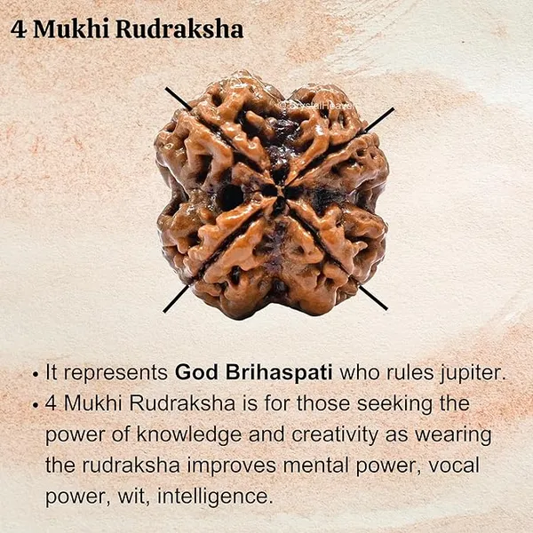 Brown_4_Mukhi_Nepali_Rudraksha_For_Men_&_Women