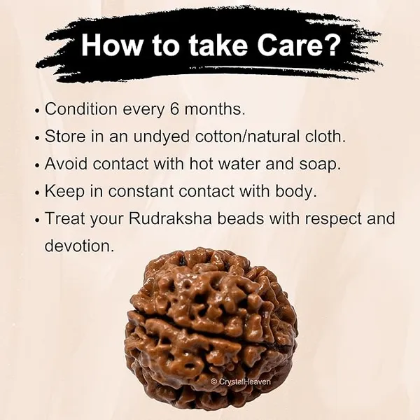 Brown_4_Mukhi_Nepali_Rudraksha_For_Men_&_Women