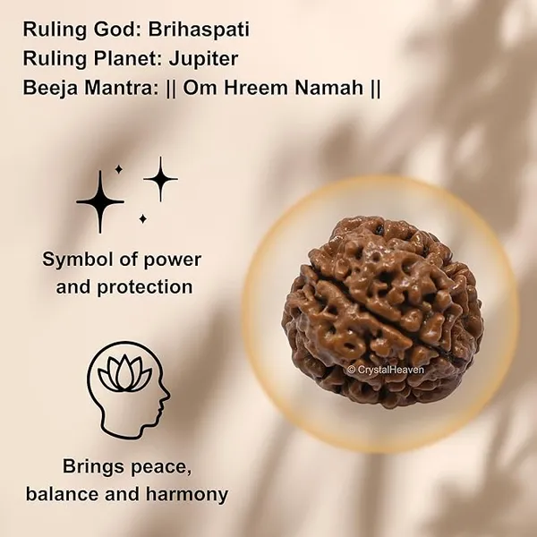 Brown_4_Mukhi_Nepali_Rudraksha_For_Men_&_Women