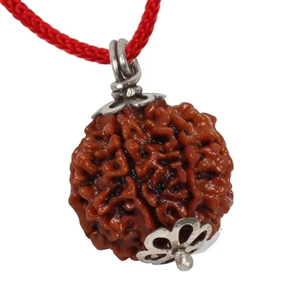 Brown_4_Mukhi_Nepali_Rudraksh_Pendant_For_Men_&_Women
