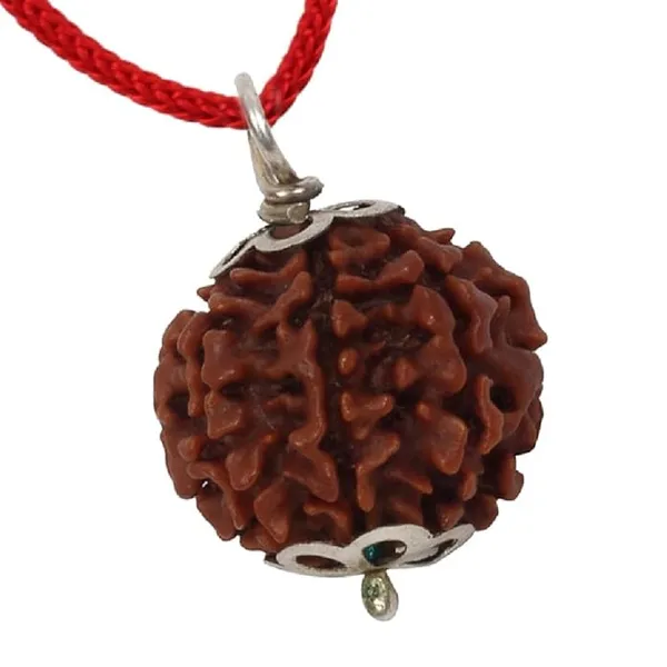 Brown_4_Mukhi_Nepali_Rudraksh_Pendant_For_Men_&_Women