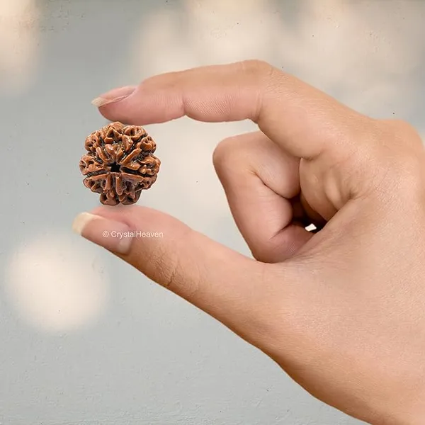 Brown_5_Mukhi_Nepali_Rudraksh_For_Men_&_Women