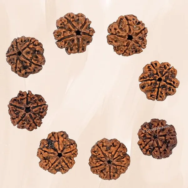 Brown_5_Mukhi_Nepali_Rudraksh_For_Men_&_Women