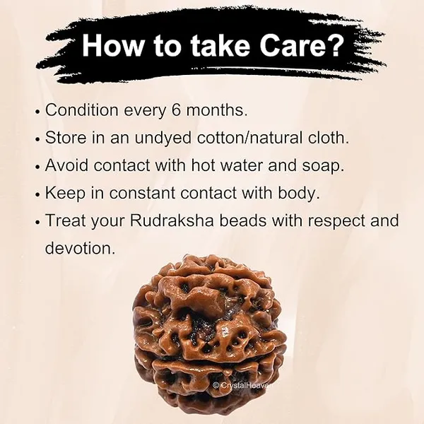Brown_5_Mukhi_Nepali_Rudraksh_For_Men_&_Women