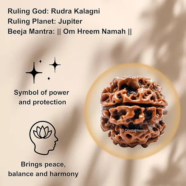 Brown_5_Mukhi_Nepali_Rudraksh_For_Men_&_Women