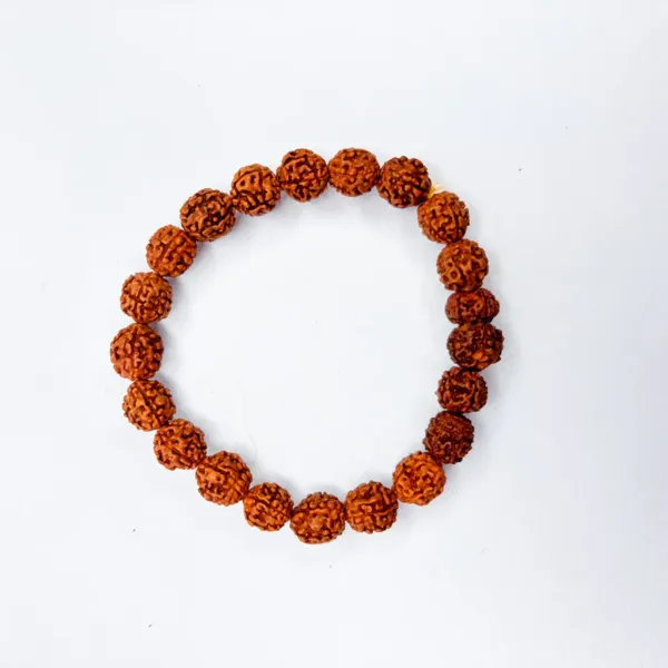 Brown_5_Mukhi_Rudraksh_Bracelet_For_Men_And_Women