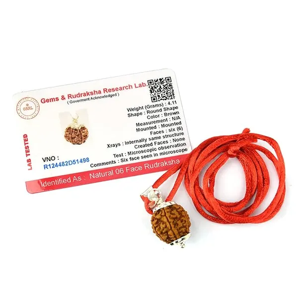 Brown_6_Mukhi_Nepali_Rudraksh_Pendant_For_Men_&_Women