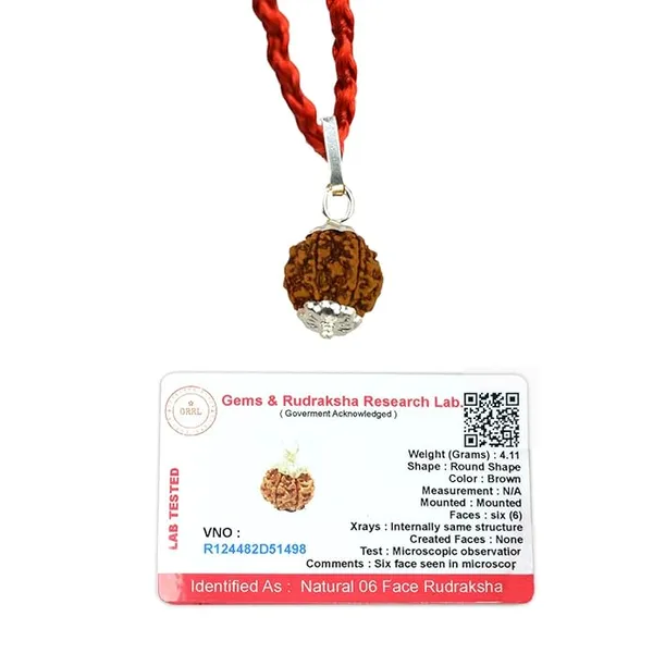 Brown_6_Mukhi_Nepali_Rudraksh_Pendant_For_Men_&_Women