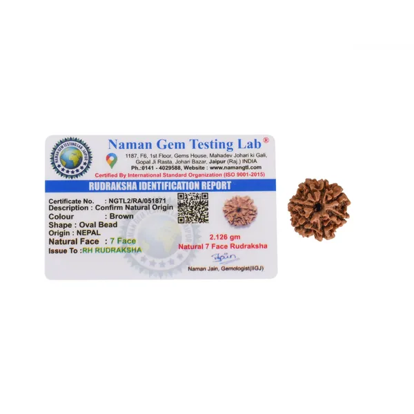 Brown_7_Mukhi_Nepali_Rudraksha_For_Men_&_Women