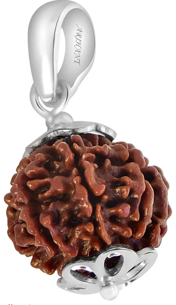 Brown_7_Mukhi_Silver_Rudraksh_Pendant_For_Men_&_Women