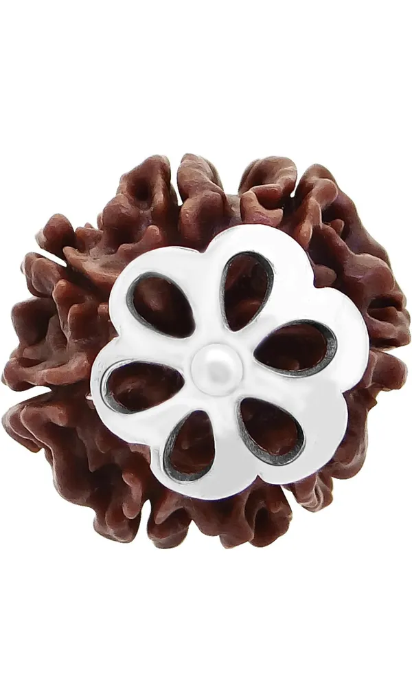 Brown_7_Mukhi_Silver_Rudraksh_Pendant_For_Men_&_Women