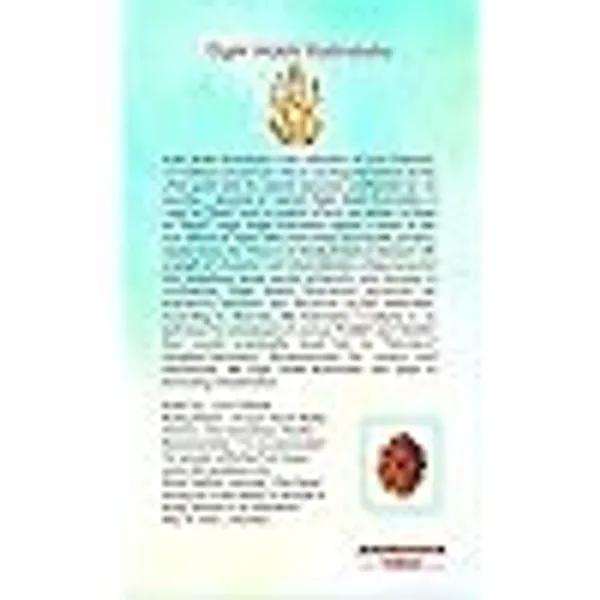 Brown_8_Mukhi_Nepali_Rudraksha_For_Men_&_Women