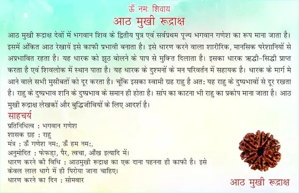 Brown_8_Mukhi_Nepali_Rudraksha_For_Men_&_Women