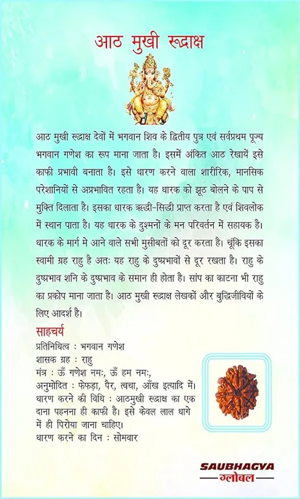 Brown_8_Mukhi_Nepali_Rudraksha_For_Men_&_Women