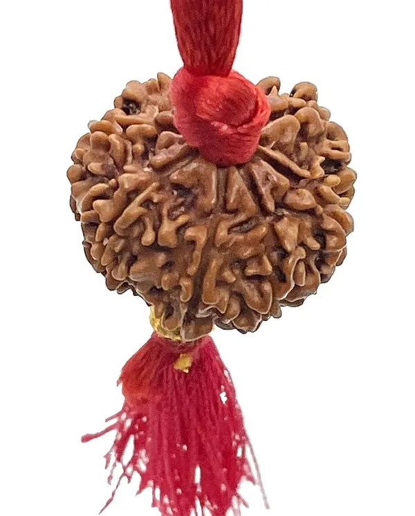 Brown_8_Mukhi_Nepali_Rudraksha_For_Men_&_Women