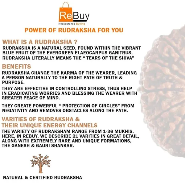 Brown_8_Mukhi_Nepali_Rudraksh_Pendant_For_Men_&_Women