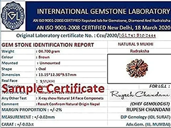 Brown_9_Mukhi_Nepali_Rudraksha_For_Men_&_Women