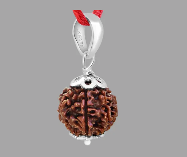 Original_7_Mukhi_Napali_Rudraksha_-_Seven_Face