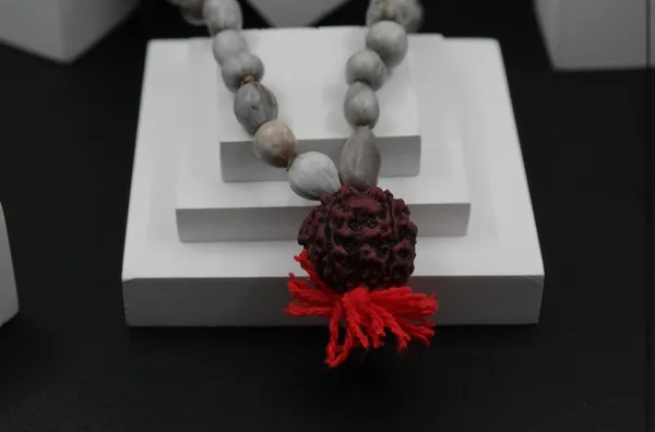 White_Vaijanti_Mala_With_Rudraksha_For_Men_&_Women