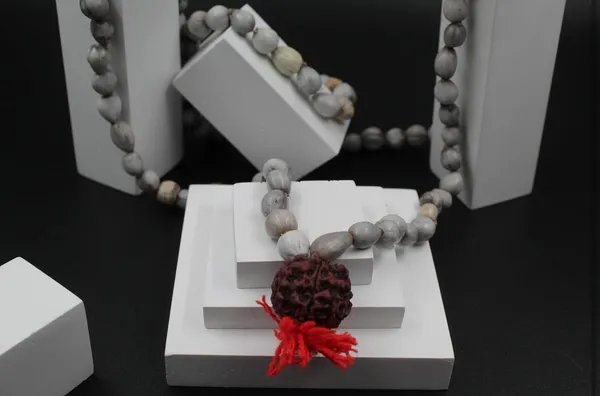 White_Vaijanti_Mala_With_Rudraksha_For_Men_&_Women