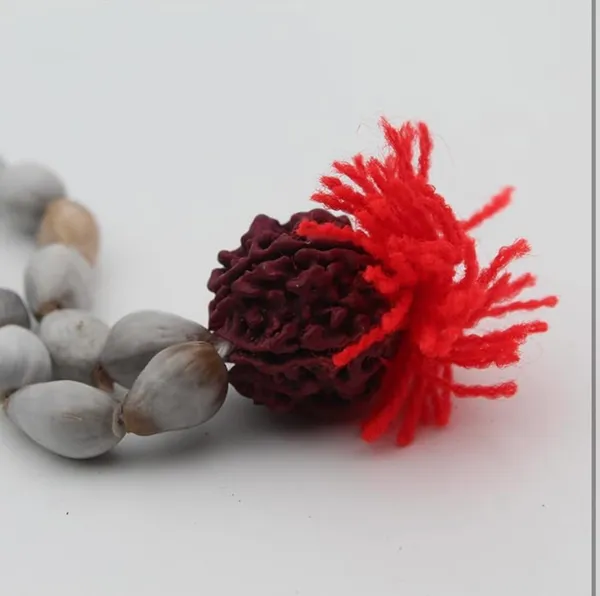 White_Vaijanti_Mala_With_Rudraksha_For_Men_&_Women