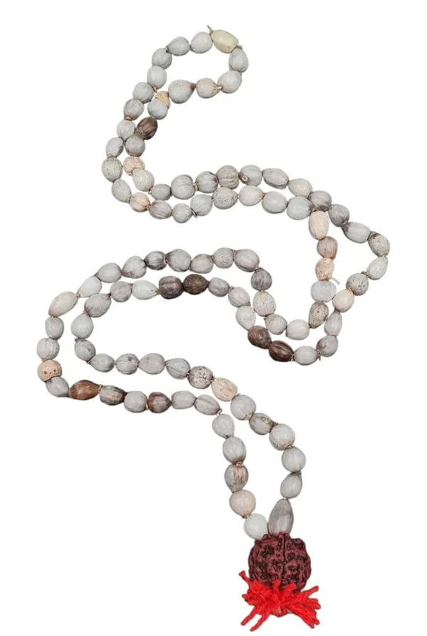 White_Vaijanti_Mala_With_Rudraksha_For_Men_&_Women