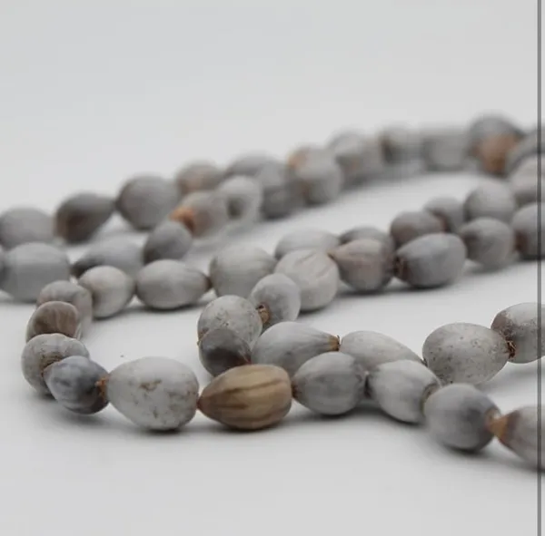 White_Vaijanti_Mala_With_Rudraksha_For_Men_&_Women