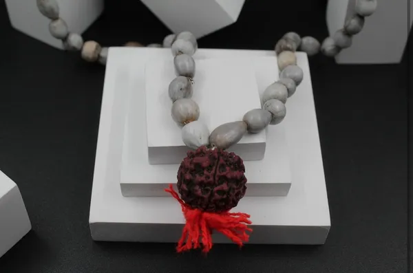 White_Vaijanti_Mala_With_Rudraksha_For_Men_&_Women