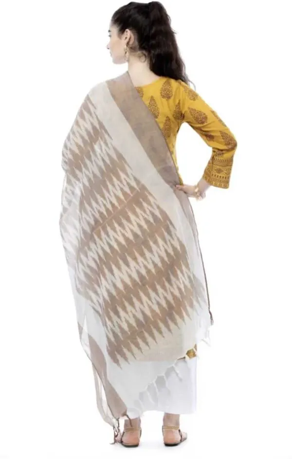 Brown_And_White_Cotton_Silk_Premium_Dupatta_Forwomen