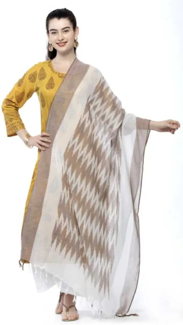 Brown_And_White_Cotton_Silk_Premium_Dupatta_For_Women