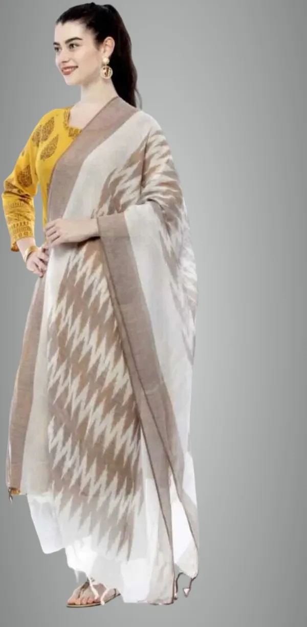 Brown_And_White_Cotton_Silk_Premium_Dupatta_For_Women