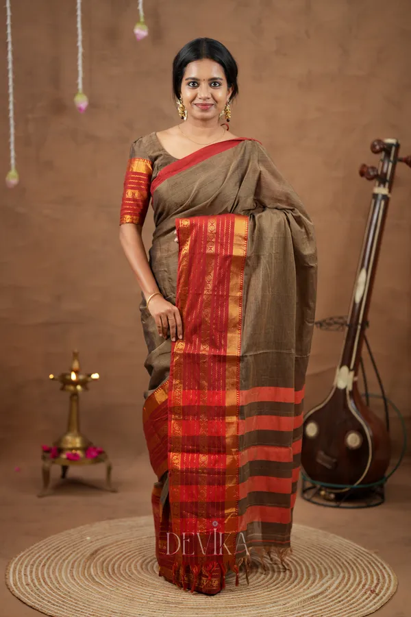 Beige_Jari_Border_Narayanapet_Pure_Cotton_saree