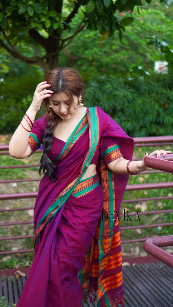 Magenta_Elephant_Border_Narayanpet_Pure_Cotton_Saree