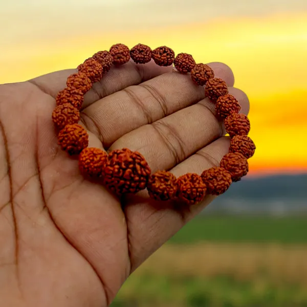Panch_Mukhi_Rudraksha_Bracelet,_Unisex,_Adjustable_(RD.V2)